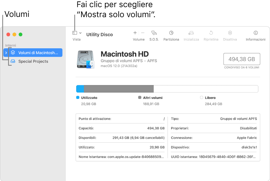 Una finestra di Utility Disco nella vista “Mostra solo volumi”.