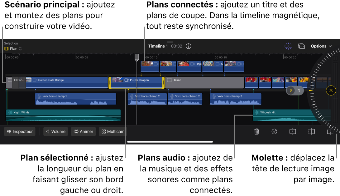 Timeline affichant le scénario principale et des plans audio et vidéo connectés, ainsi que la molette.