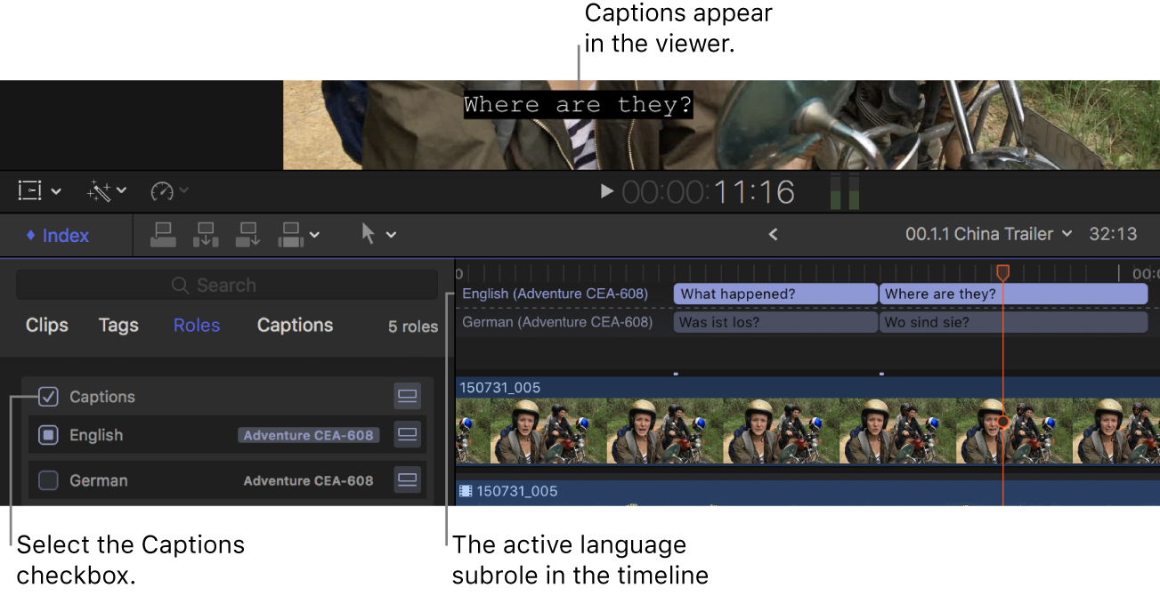 Das aktivierte Markierungsfeld „Untertitel“ im Timeline-Index und ein Untertitel in der Sprache der aktiven Sprachsubrolle im Viewer