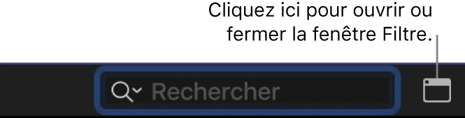 Bouton Filtrer à droite du champ de recherche dans le navigateur