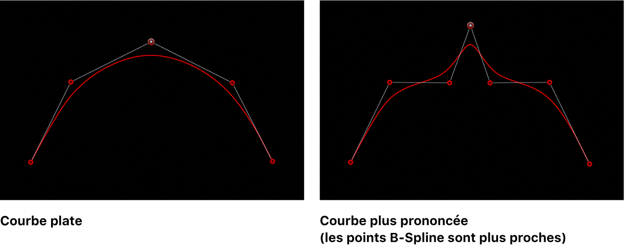 Visualiseur affichant des courbes B-Spline plates et plus prononcées