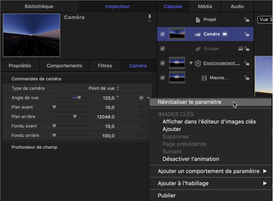 Réinitialisation du paramètre Angle de vue dans l’inspecteur de caméra