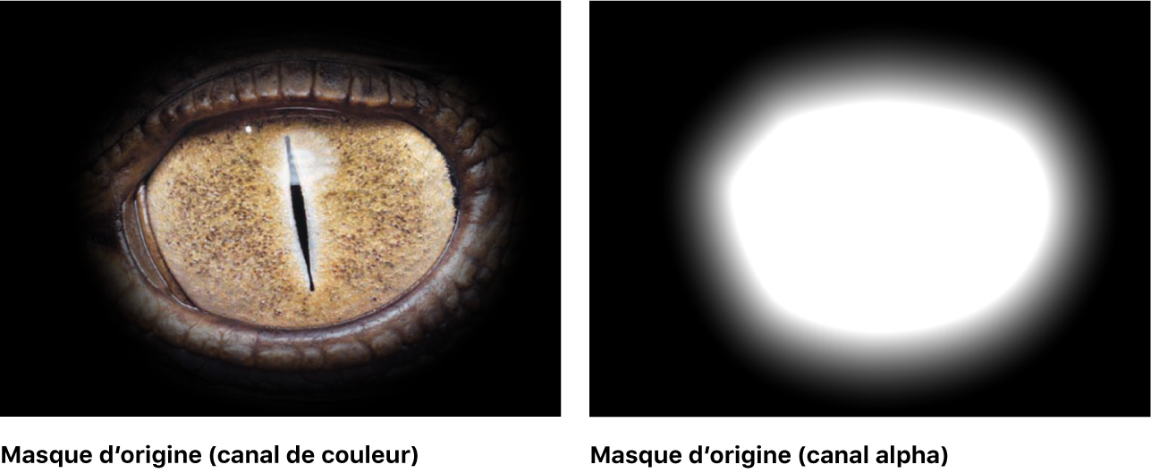 Canevas affichant un masque sans filtre qui lui est appliqué