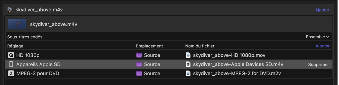 Zone du lot affichant les informations de sortie contenues dans une tâche.