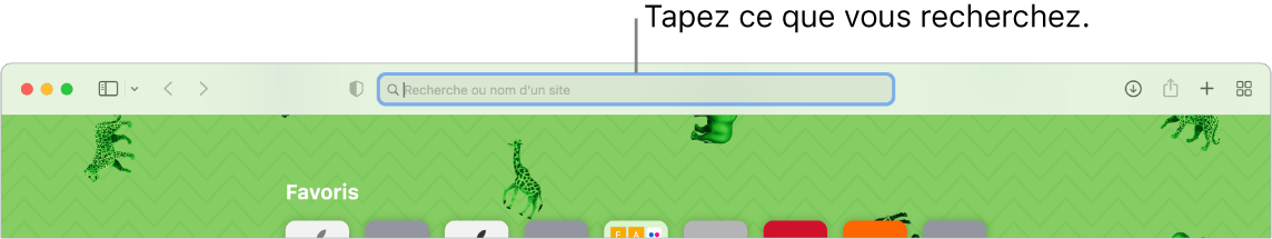 Une fenêtre Safari rognée avec le champ de recherche en haut de la fenêtre.