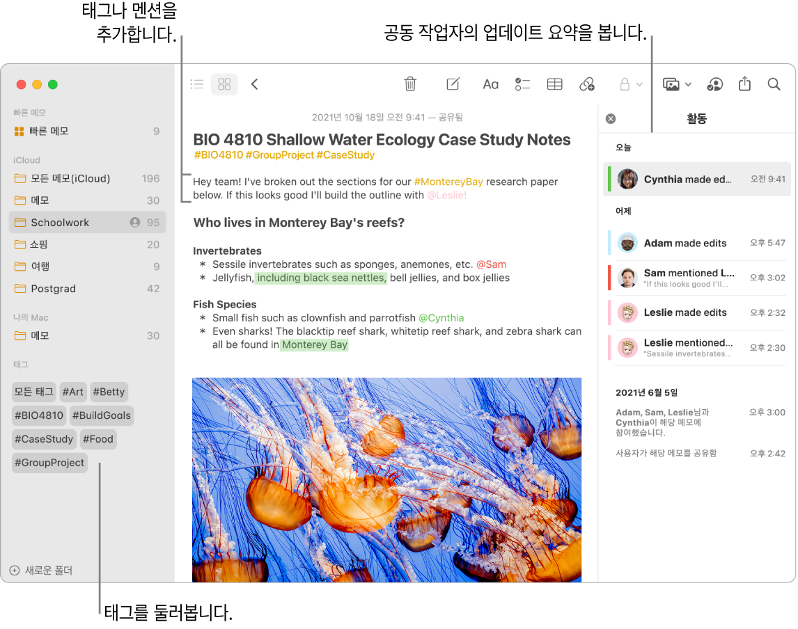 사이드바 아래쪽에 태그가 표시된 갤러리 보기의 메모 윈도우. 오른쪽에 있는 주 메모 상단 근처의 태그 및 멘션. 오른쪽에는 업데이트 요약을 포함한 활동 목록이 있음.