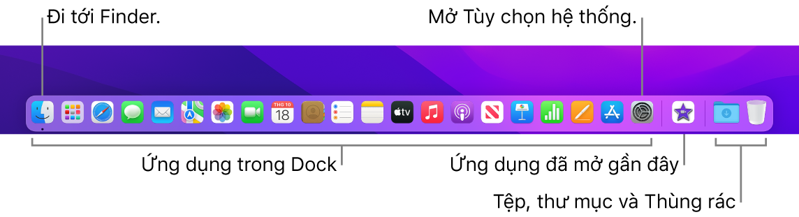 Dock, đang hiển thị Finder, Tùy chọn hệ thống và đường thẳng trên Dock chia tách ứng dụng khỏi các tệp và thư mục.