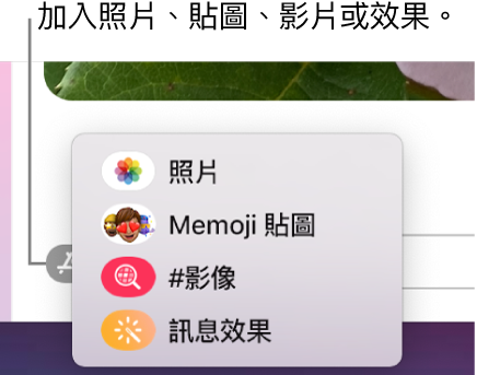 包含顯示照片、Memoji 貼圖、GIF 和訊息效果選項的 App 選單。