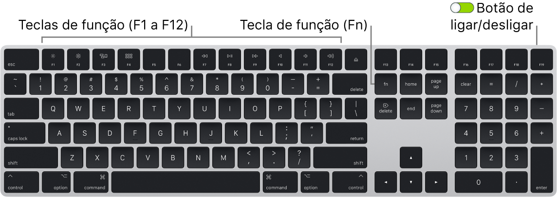 Magic Keyboard a mostrar a tecla de função (Fn) no canto inferior esquerdo e o botão de ligar/desligar no canto superior direito do teclado.