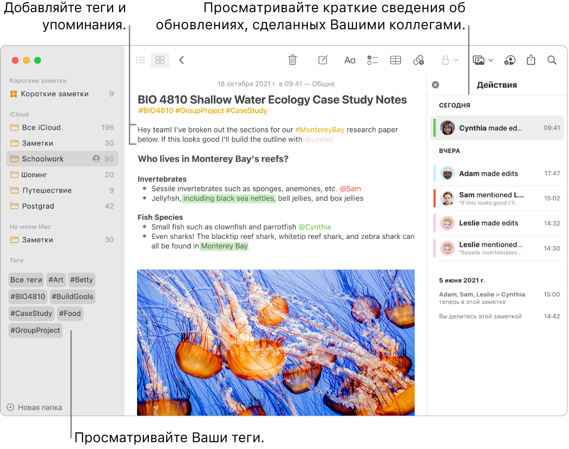 В окне приложения «Заметки» открыта галерея и показаны теги в нижней части боковой панели. В верхней части заметки справа отображаются теги и упоминание. Справа — панель «Активность», содержащая краткую информацию об изменениях, внесенных в заметку.