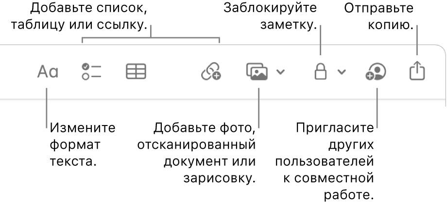 В панели инструментов в приложении «Заметки» отображаются инструменты форматирования, добавления списка, таблицы, ссылки, мультимедиа, кнопка для установки пароля, кнопка «Поделиться» и кнопка «Отправить копию».