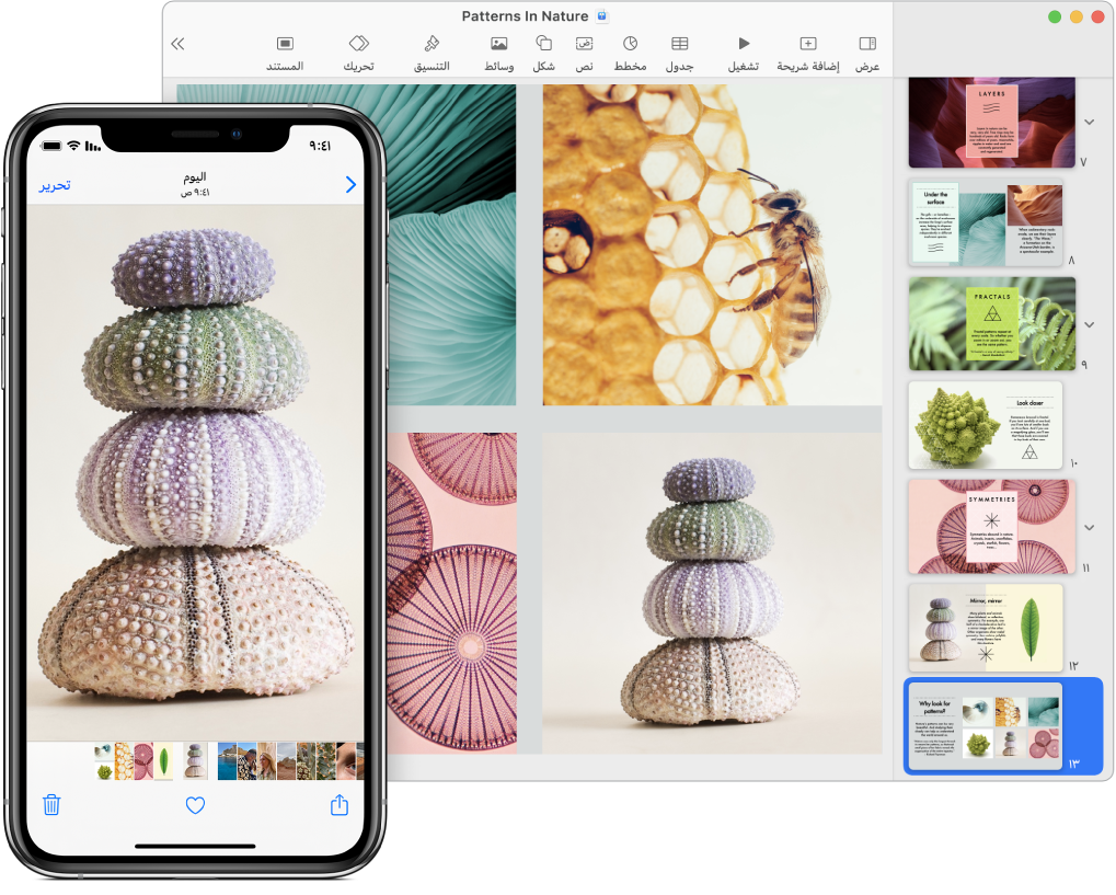 جهاز iPhone يعرض صورة، وبجواره جهاز Mac تظهر عليه الصورة بعد لصقها في عرض Keynote تقديمي.