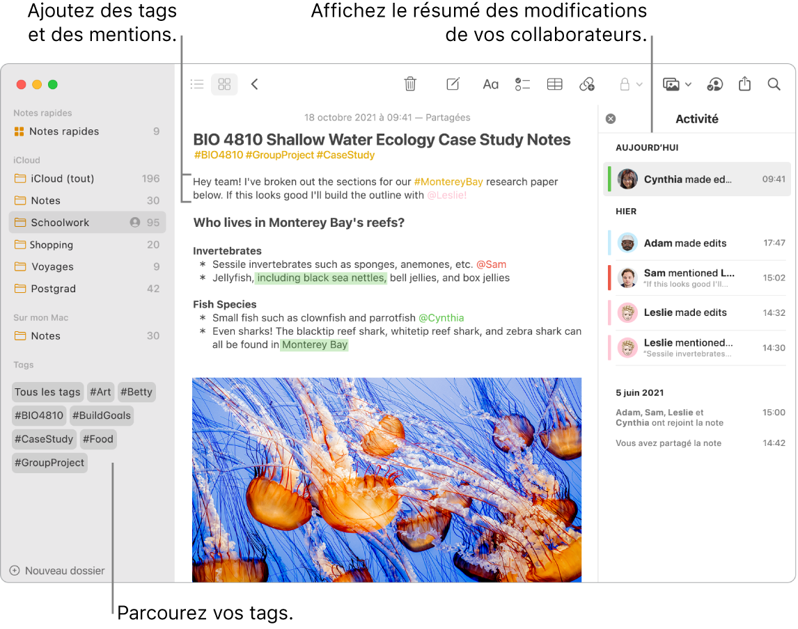 Une fenêtre Notes en présentation par galerie montrant des tags vers le bas de la barre latérale. Des tags et une mention se trouvent vers la partie supérieure de la note principale, à droite. Une liste d’activité apparaît sur la droite avec un résumé des mises à jour.