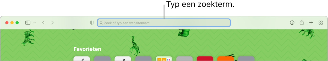 Een deel van een Safari-venster met het zoekveld boven in het venster.
