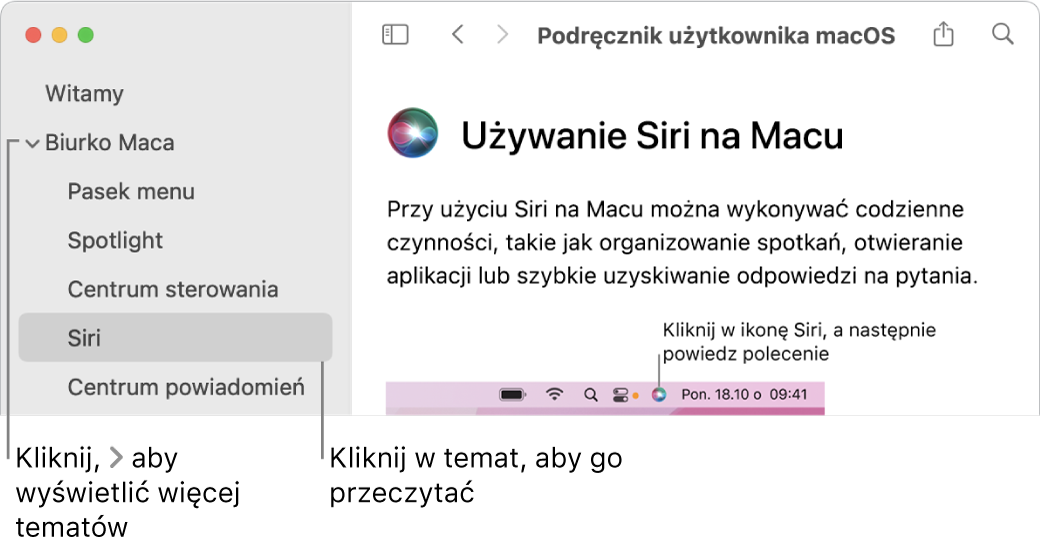 Okno przeglądarki pomocy; ilustracja przedstawia sposób wyświetlania tematów na pasku bocznym oraz sposób wyświetlania zawartości otwartego tematu pomocy.