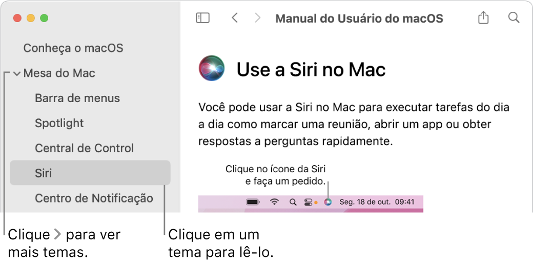 Visualizador de Ajuda mostrando como visualizar temas listados na barra lateral e como exibir o conteúdo de um tema.