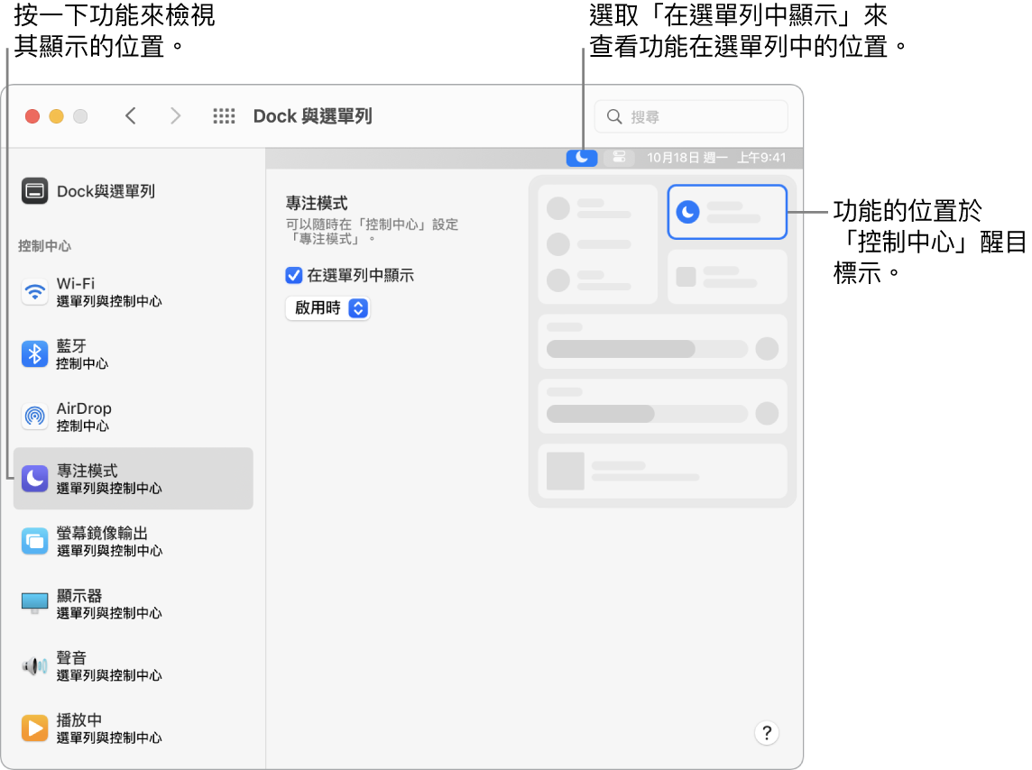 「Dock 與選單列偏好設定」視窗。