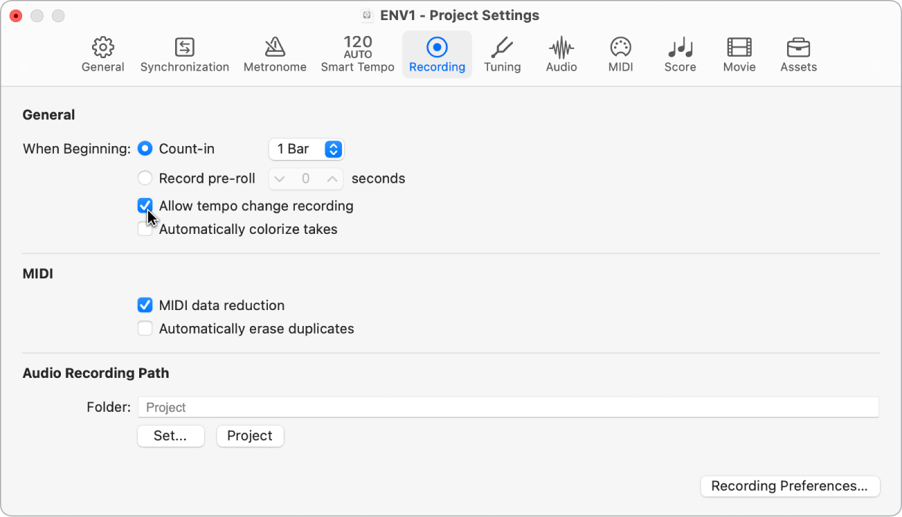 Figure. Recording project settings pane.