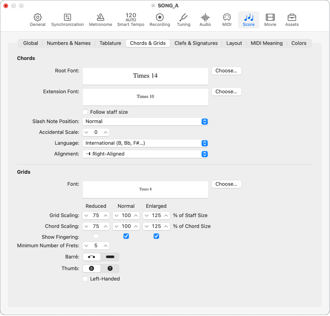 Figure. Chords and Grids settings.