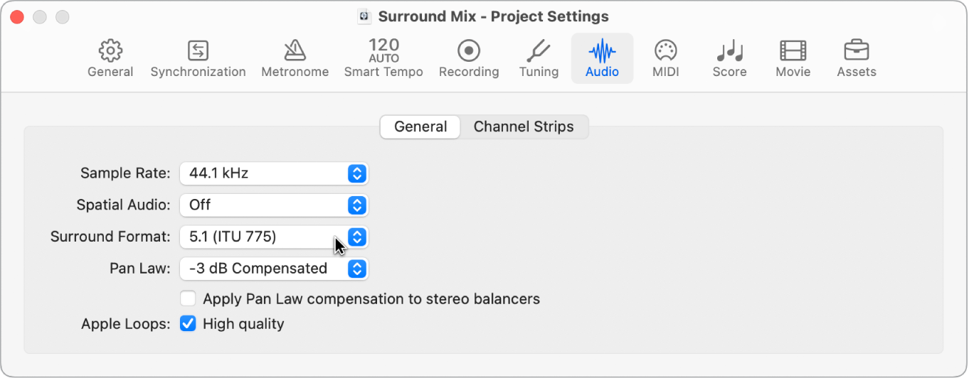 Figure. Audio project settings pane.