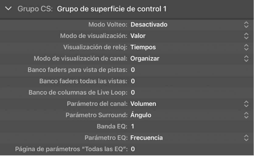 Ilustración. Imagen de los parámetros de visualización del grupo de superficies de control.