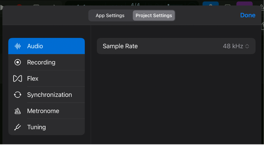 Audio project settings.