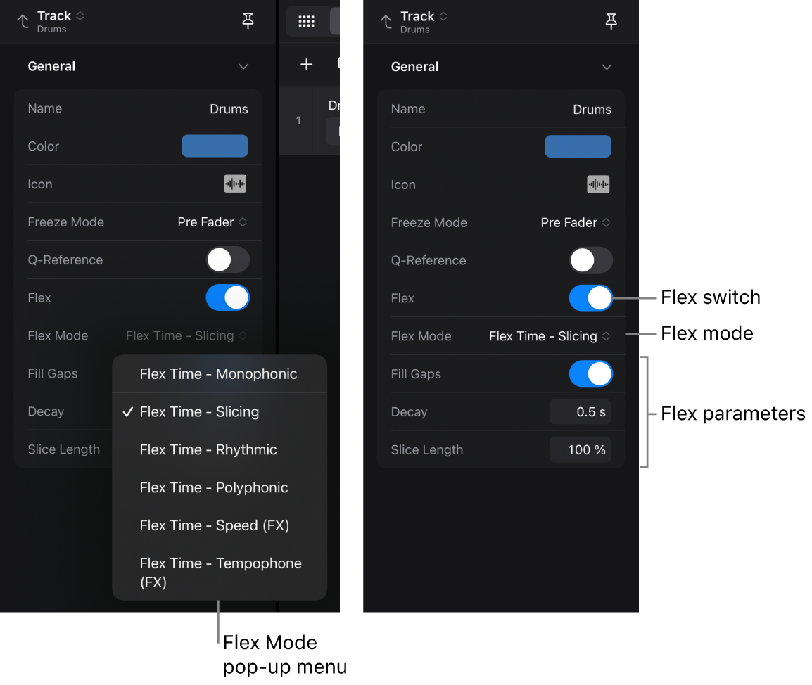 Figure. Track inspector showing the Flex settings.