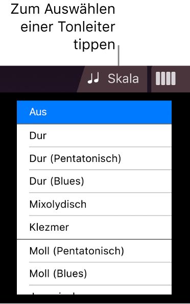 Taste „Skala“ und Tonskalenliste für Saiteninstrumente