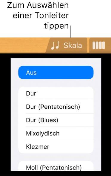 Taste „Skala“ für die Gitarre