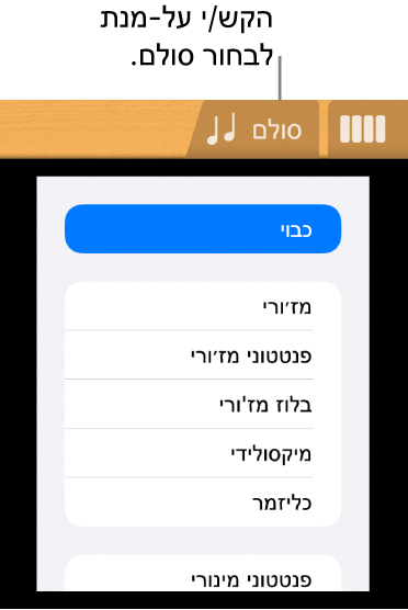 הכפתור ״סולם״ של הגיטרה