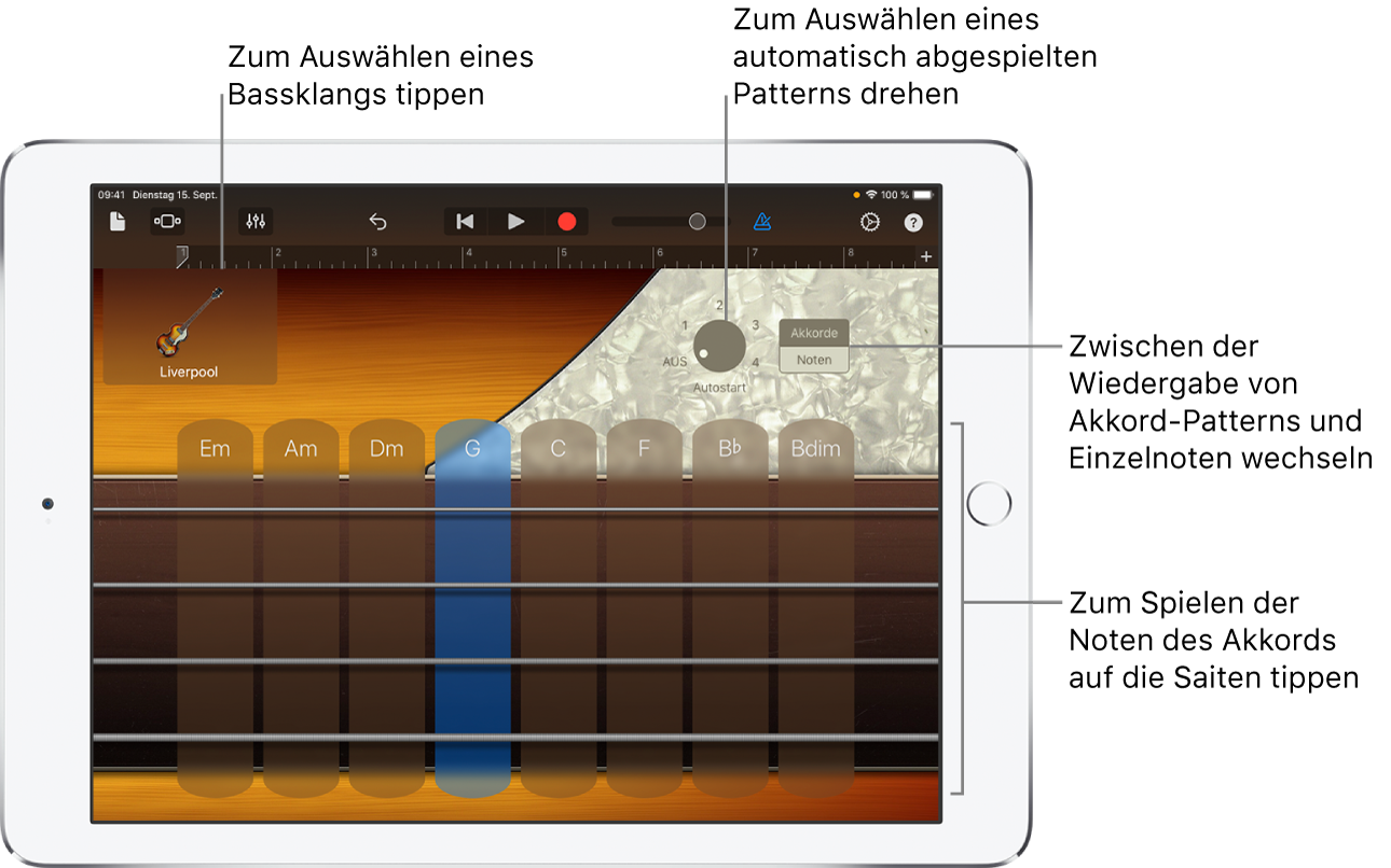 Touch-Instrument „Bass“