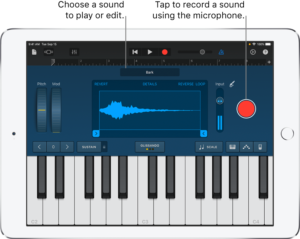 Sampler Touch Instrument