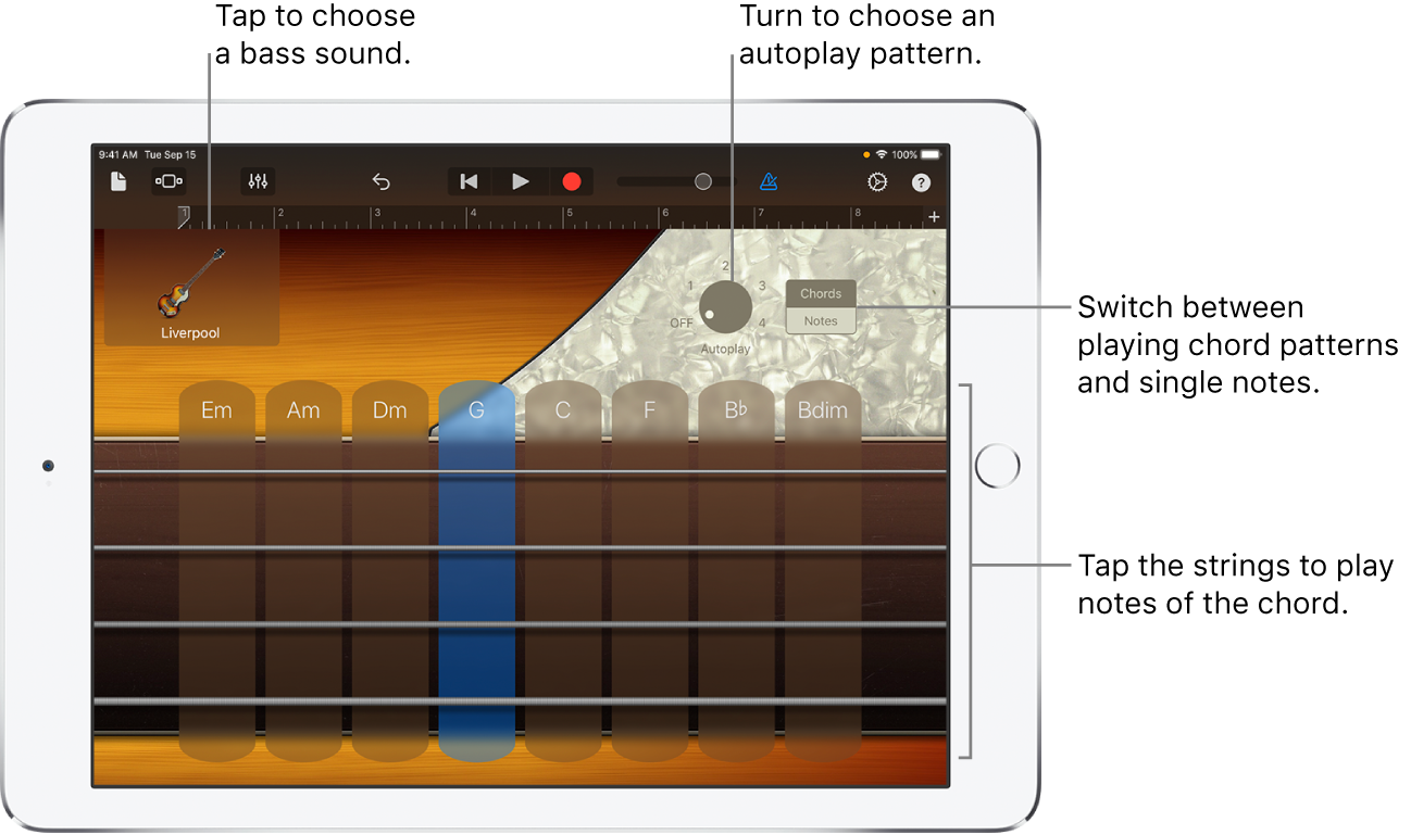 Bass Touch Instrument