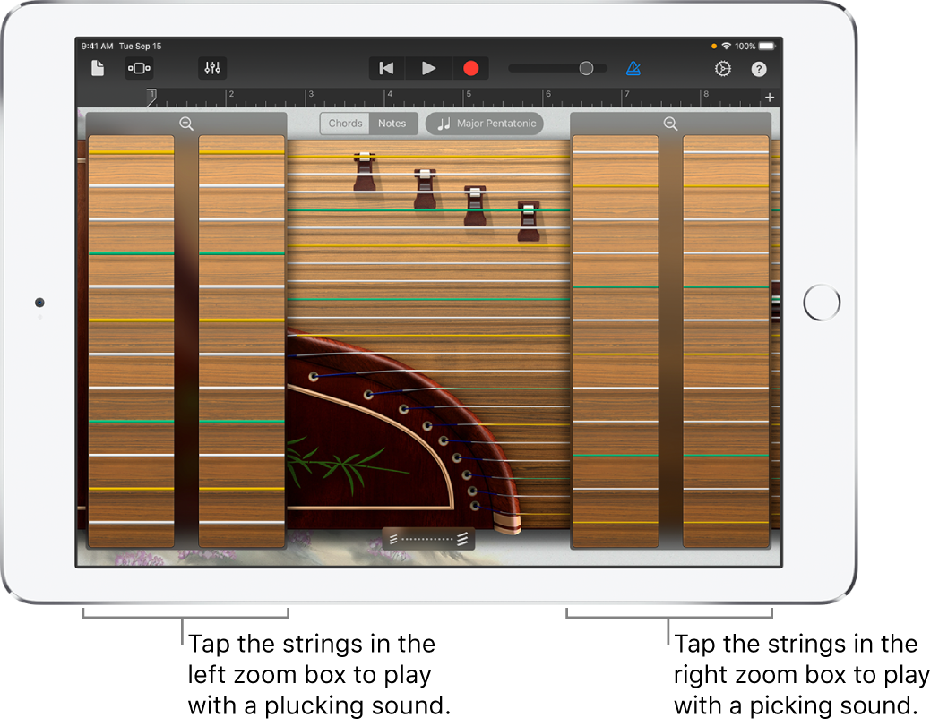 Guzheng zoom boxes