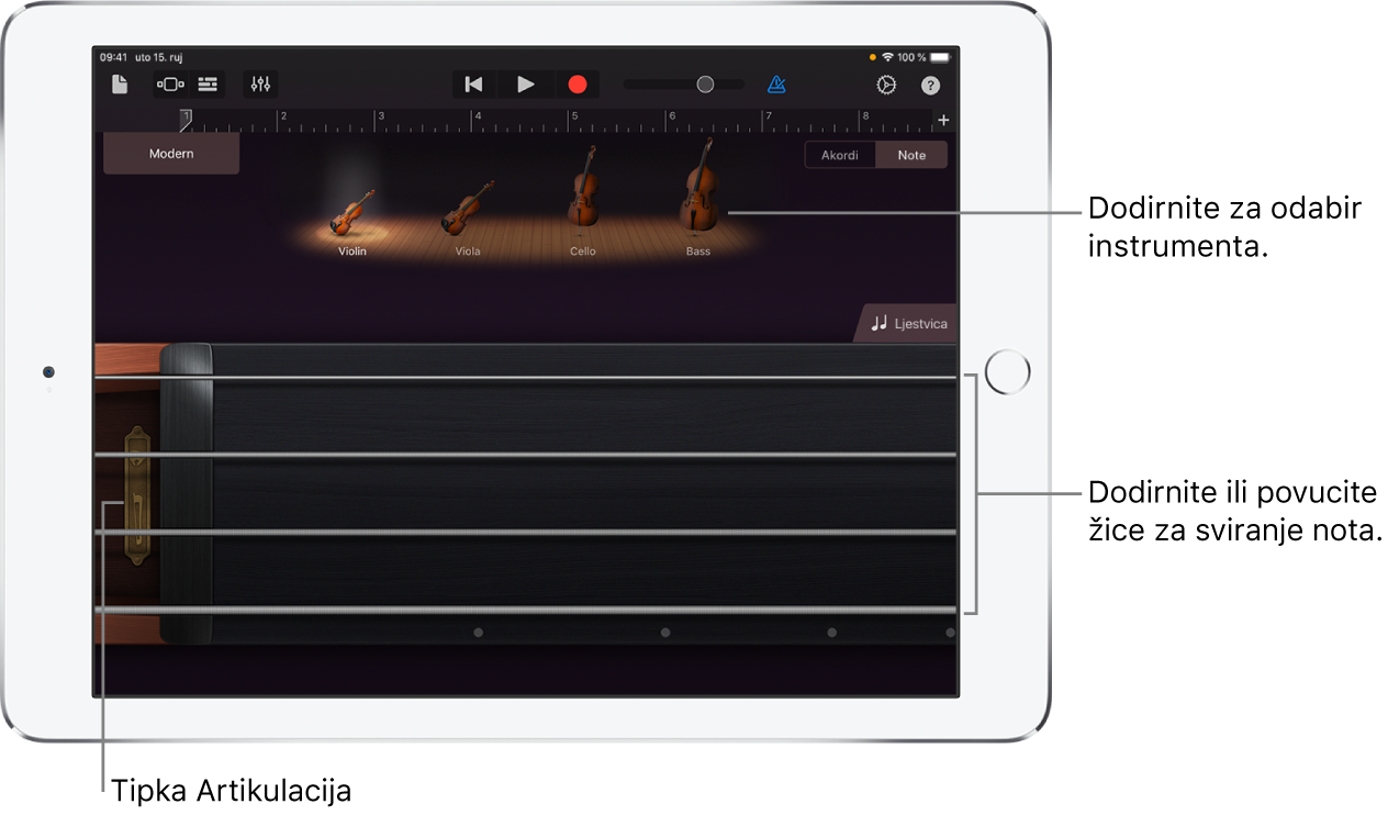Prikaz bilješki na dodirnom instrumentu Žičani instrument
