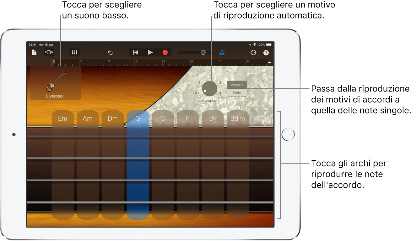 Strumento Touch Basso