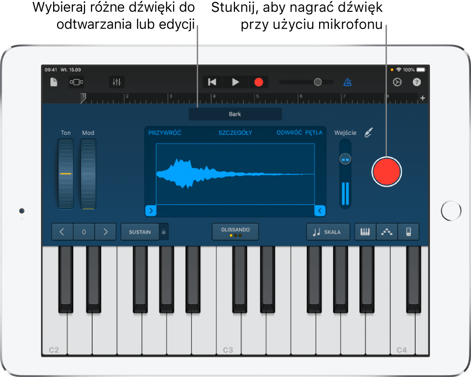 Instrument dotykowy — sampler