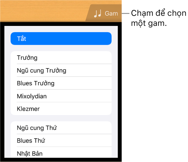 Nút Gam Ghi-ta và danh sách gam