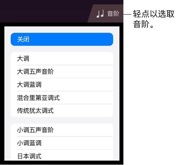 弦乐的“音阶”按钮和音阶列表