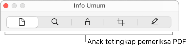 Anak tetingkap pemeriksa PDF.