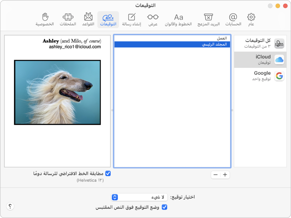جزء تفضيلات توقيعات البريد يُظهر توقيعًا يحتوي على نص منسق وصورة.