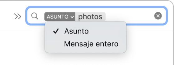 Un filtro de búsqueda en el cual se hizo clic en la flecha hacia abajo para mostrar dos opciones: Asunto y Mensaje completo. La opción Asunto está seleccionada.