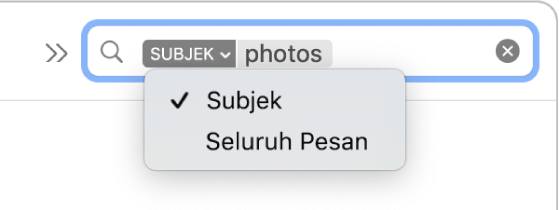 Filter pencarian yang panah bawahnya diklik untuk menampilkan dua pilihan: Subjek dan Seluruh Pesan. Subjek dipilih.