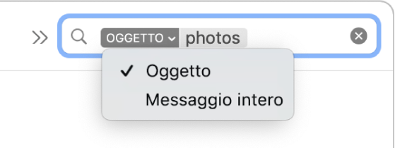 Un filtro di ricerca con la freccia in basso selezionata che mostra due opzioni: Oggetto e Messaggio intero. L'opzione Oggetto è selezionata.