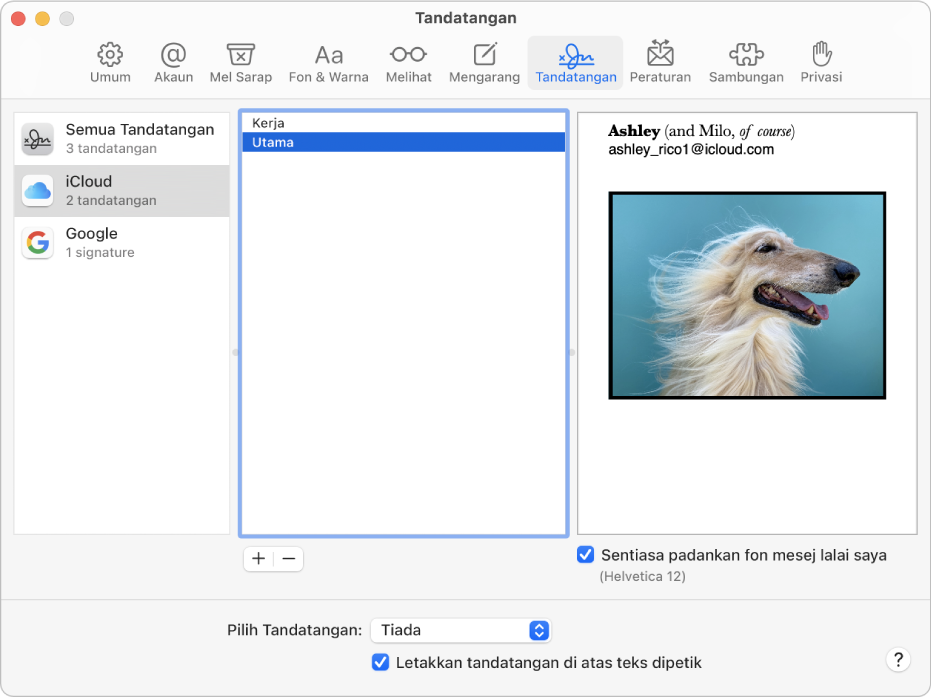 Anak tetingkap keutamaan Tandatangan Mail menunjukkan tandatangan yang mengandungi teks diformatkan dan imej.