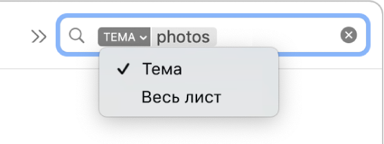 Пошуковий фільтр з натиснутою стрілкою вниз і двома опціями: «Тема» і «Весь лист». Вибрано «Тема».