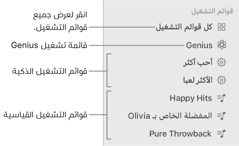 الشريط الجانبي للموسيقى أنواعًا مختلفة من قوائم التشغيل: قائمة تشغيل Genius وقائمة التشغيل الذكية وقائمة التشغيل القياسية. انقر على كل قوائم التشغيل لعرضها جميعًا.