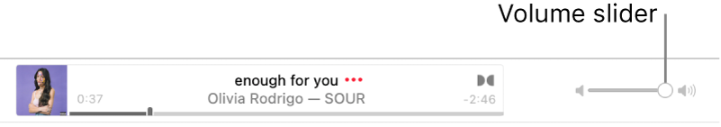 The volume slider.