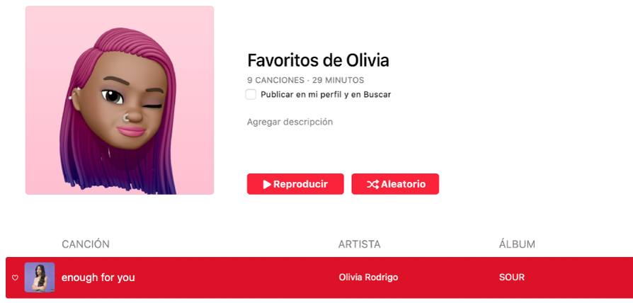 Una playlist con ilustración personalizada.