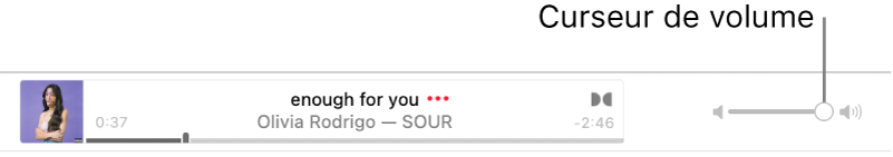 Le curseur de volume.